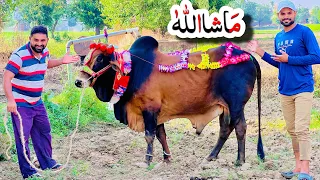 Alhamdulillah Qurbani ke liye Janwar le liya 🐄