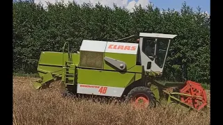 Żniwa 2020 | Claas Dominator 48