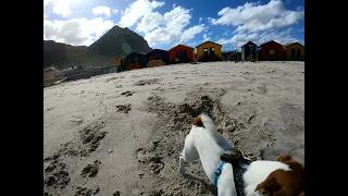 Cape Town - Muizenberg Beach