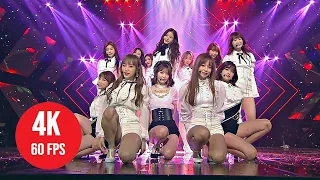 [ 4K LIVE ] IZ*ONE - La Vie en Rose - (181111 SBS Inkigayo)