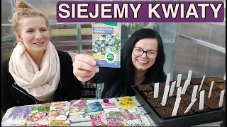 Siejemy kwiaty jednoroczne i byliny. 26 odmian!  Co siać w marcu. Kwiaty w ogrodzie | Kasia.in