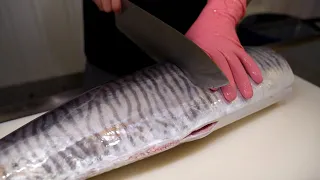 驚人的刀工!野生澎湖土魠魚快速切割/台灣美食-Taiwanese Food-Professional Fish Killing Skill