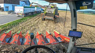 2x CLAAS Mähdrescher auf einem Feld!? | Körnermais dreschen mit CLAAS Tucano |