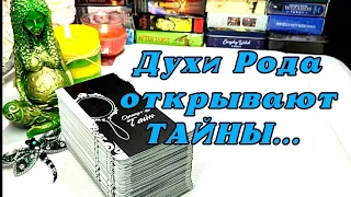 🦋⚖️ Послание от Духов Рода 🌳 Какая тайна вскоре откроется 😉⚖️