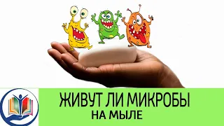 Живут ли микробы на мыле. Безопасно ли жидкое мыло