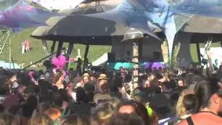 Liquid Soul @ Ozora 2011