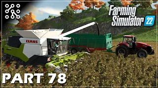 První sklizeň slunečnice #78 | Farming Simulator 22 | Lets play | Česky