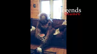 BIGFOOT Caught!