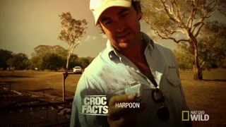 A DIY Croc Harpoon | Outback Wrangler