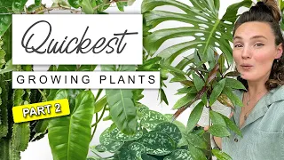 MORE Fastest Growing Indoor Plants 🌿 Amazing Quickest Growing House Plants