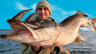 11 CRAZIEST Things Ever Caught!