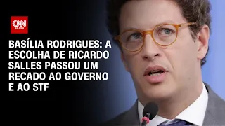 Basília Rodrigues: A escolha de Ricardo Salles passou um recado ao Governo e ao STF| CNN NOVO DIA