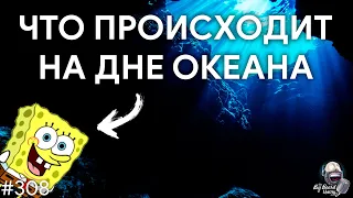 Что происходит на дне океана | TBBT 308