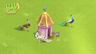 New Pet Brown Peacock | Hay Day Level 183 🤎