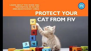 😺Feline Immunodeficiency Virus (FIV): The Silent Threat to Cats 🦠