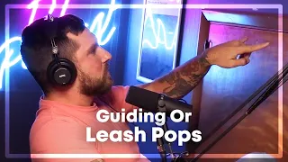 Guiding Or Leash Pops? BOTH Are Corrections!
