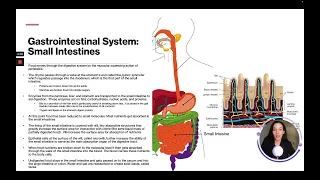 ATI TEAS 7 Science Course | Gastrointestinal System