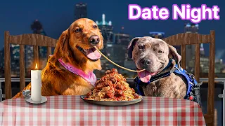 I Sent My Dog on a Blind Date... 🐶