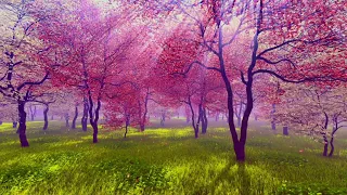 Relaxing Piano Music 🌸 Romantic Music Beautiful Relaxing Music Sleep Music Calming Music Hanami