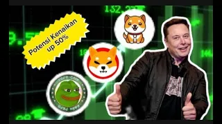 MARKET DOWN ‼️ 3 Meme coin Crypto ini Bisa Jadi The NEXT PEPE (Kenaikannya up 50%/day)