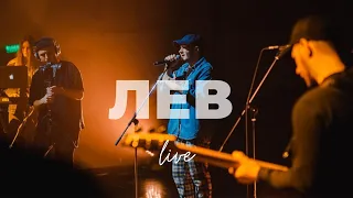 Lion (Live) | Dimitry Voronin | WOLRUSMUSIC