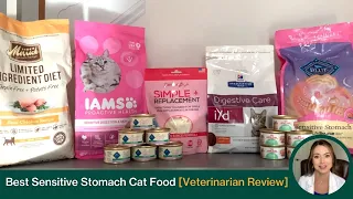 Best Sensitive Stomach Cat Foods [Recommended by a Vet]