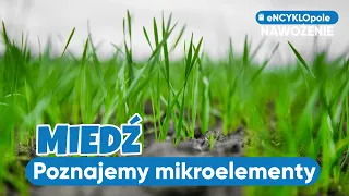 Miedź czy nie mieć? Poznajemy mikroelementy z Profesorem Potarzyckim | e-pole