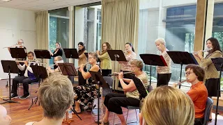 Pirates of the Caribbean Theme for Flute choir