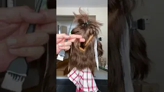 Balayage, a shag haircut & fringe