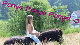 Alles dreht sich nur um Ponys! |Mein erstes Video || Marina und die Ponys