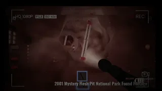 Mystery Flesh Pit National Park Found Footage (I know this is bad)