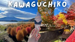 Life in Japan 🎌: The best place to experience autumn in Japan 🍂🍁 | Kawaguchiko Trip day 2