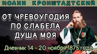 14-20 ноября 1875 г. Дневник Иоанна Кронштадтского