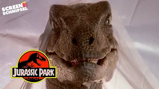 Dinos im Jurassic Park | Jurassic Park | Screen Schnipsel