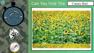 Can You Find Hidden Animals in These 6 Photos - #1