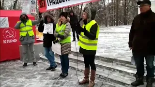 "Желтые жилеты" на митинге в Москве