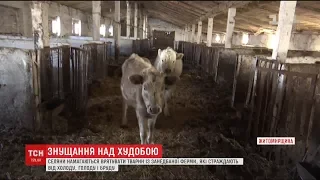 Селяни на Житомирщині намагаються врятувати тварин із занедбаної ферми