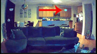 Orbs with Cats: MUST SEE! CREEPY!