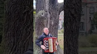 Jagódka Cover