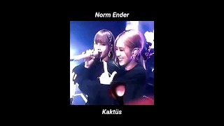 Norm Ender - Kaktüs (sped up)