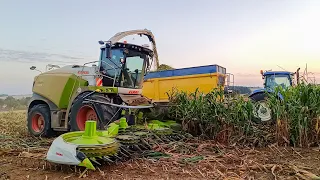 Silaže 2023 | Claas Jaguar 990 | New Holland | John Deere | Case | PD Dolné Otrokovce | Santrading