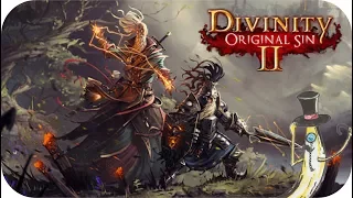 Divinity: Original Sin 2 #38 - Into Wrecker's Cave