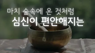 심신안정 스트레스 정화 싱잉볼 힐링+숲 새소리🌳 1시간ㅣ사운드 명상음악 singing bowl meditation