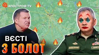 Вологі мрії Шойгу, Ростов та Таганрог тремтять від страху, мрія рф про Францію / Вєсті з болот