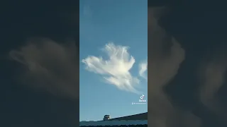 💕 angel cloud