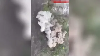 Ukraine war drone footage cheese Russian army soldier
