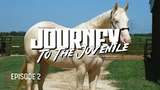 Journey to the Juvenile | Episode 2