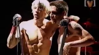 RHCP (Big Day Out)  Scar Tissue + crazy crowd (2000)