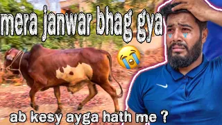 Mara janwar bhag gya 😭💔 | syed fahad | the fun fin | bakra Eid special