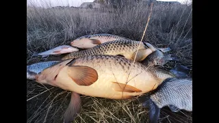 Огромные САЗАНЫ и КАРАСИ на БОКОВОЙ КИВОК!!!  Мормышка НЕ ОСТАВИТ БЕЗ УЛОВА